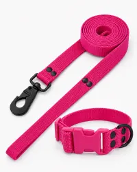 Fucsia