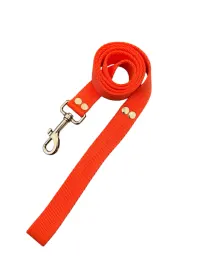 Correa doble lisa 1,8Mts - 25mm