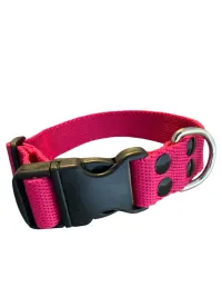 Collar Regulable N4 25mm - Liso Full Color