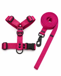 Fucsia Black