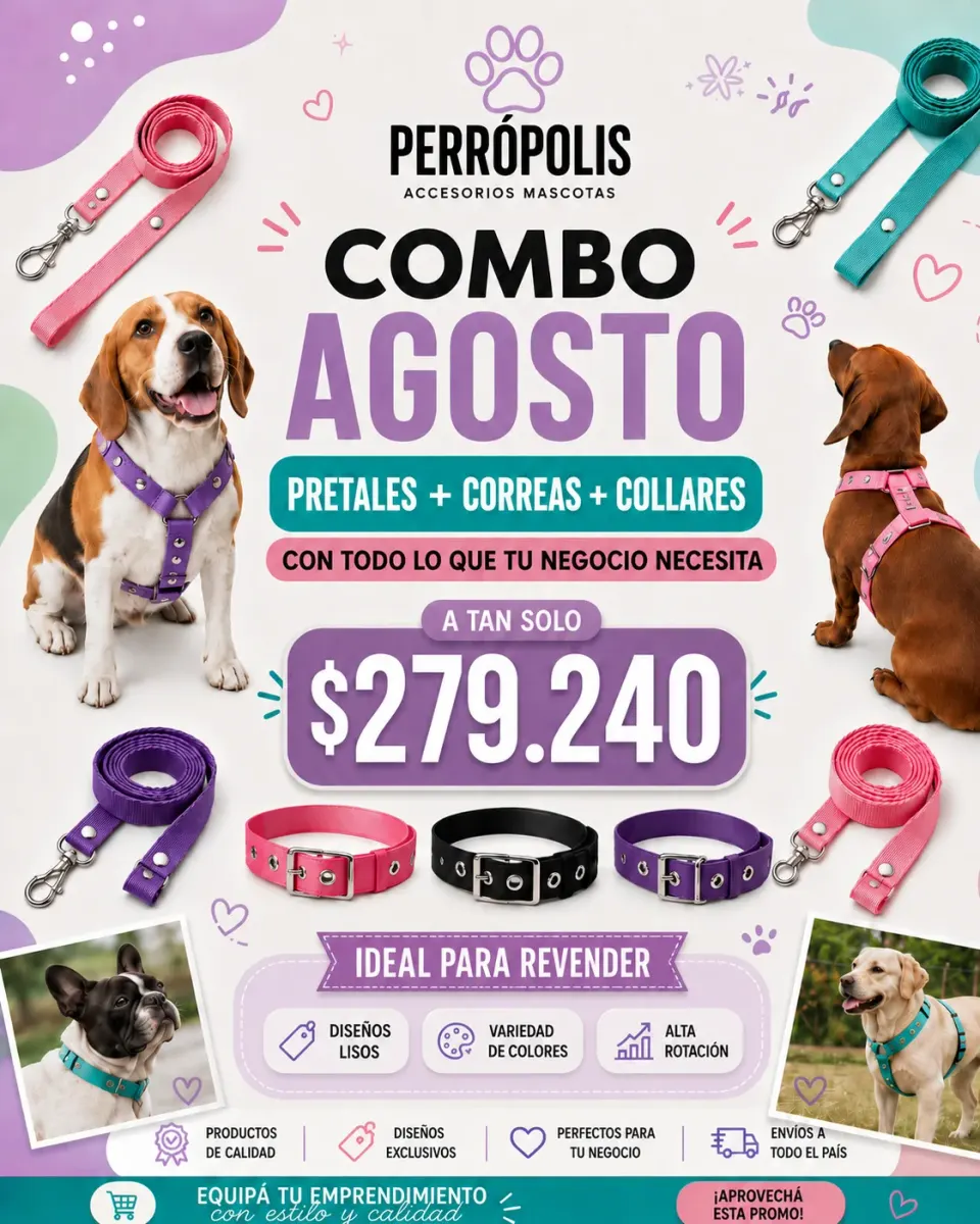 COMBO 2 LISO- PRETAL H LISO + CORREA LISA + COLLAR LISO