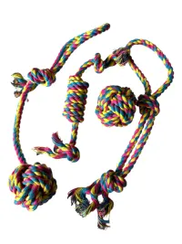 Kit Sogas - 1 Pelota, 1 Pelota con Soga, 2 Sogas con Nudos