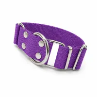 Violeta