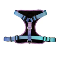 Pechera Perropolis Talle XL