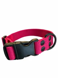 Collar Regulable N5 25mm - Liso Full Color