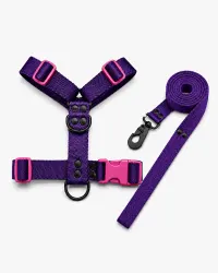 Violeta