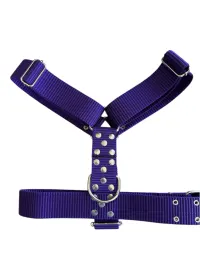 Violeta