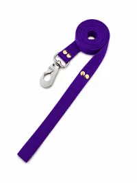 Violeta