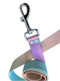 correa sublimada n3 - 40mm x 1,50Mts