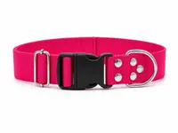Fucsia