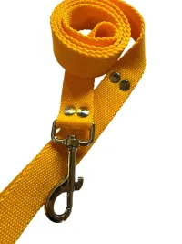 Correa doble lisa 1,8Mts - 25mm