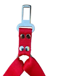 Cinturon de seguridad DOBLE LISO