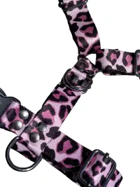 Print Fucsia