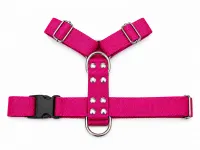 Fucsia