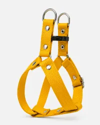 Amarillo