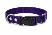 Violeta