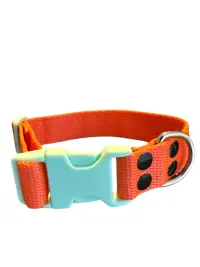 Collar Regulable N4 25mm - Liso Full Color