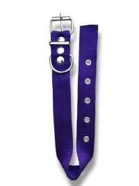 collar n2 25mm - 44cm