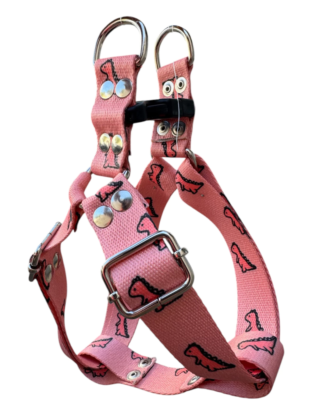 Dino Rosa