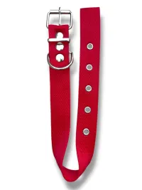 collar n2 25mm - 44cm