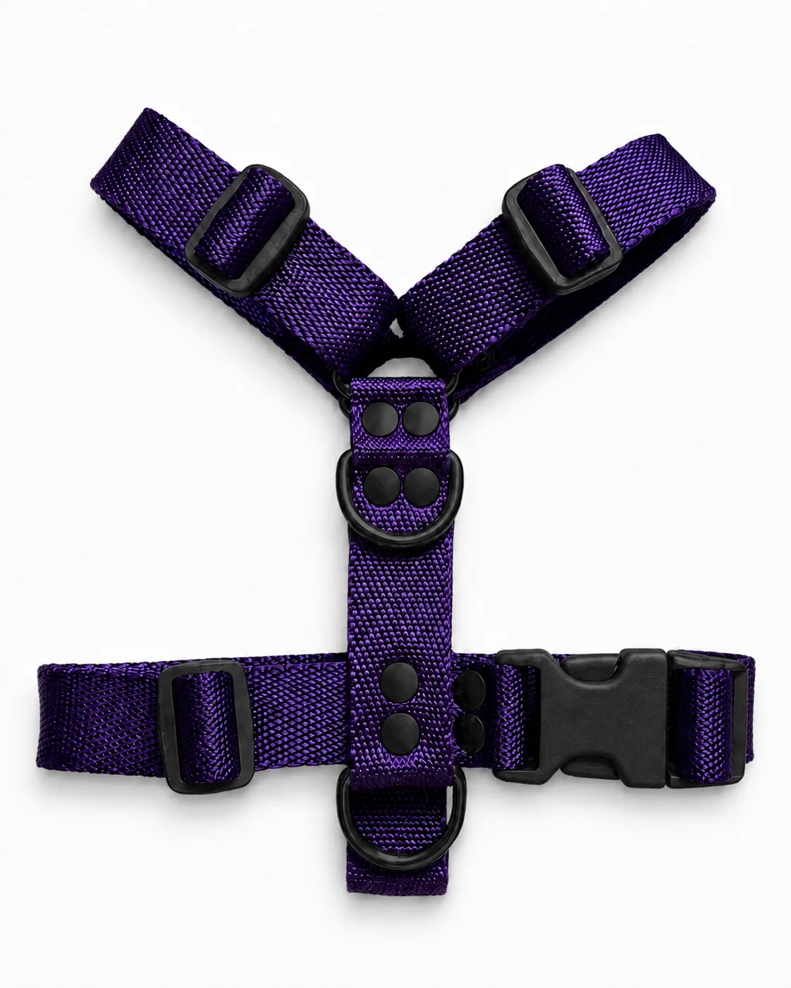 Violeta Black
