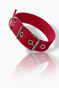 collar n4 30mm - 60cm
