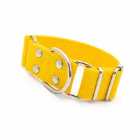 Collar Martingale Liso - 40mm