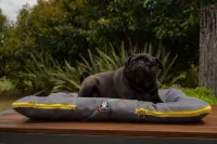 Historieta