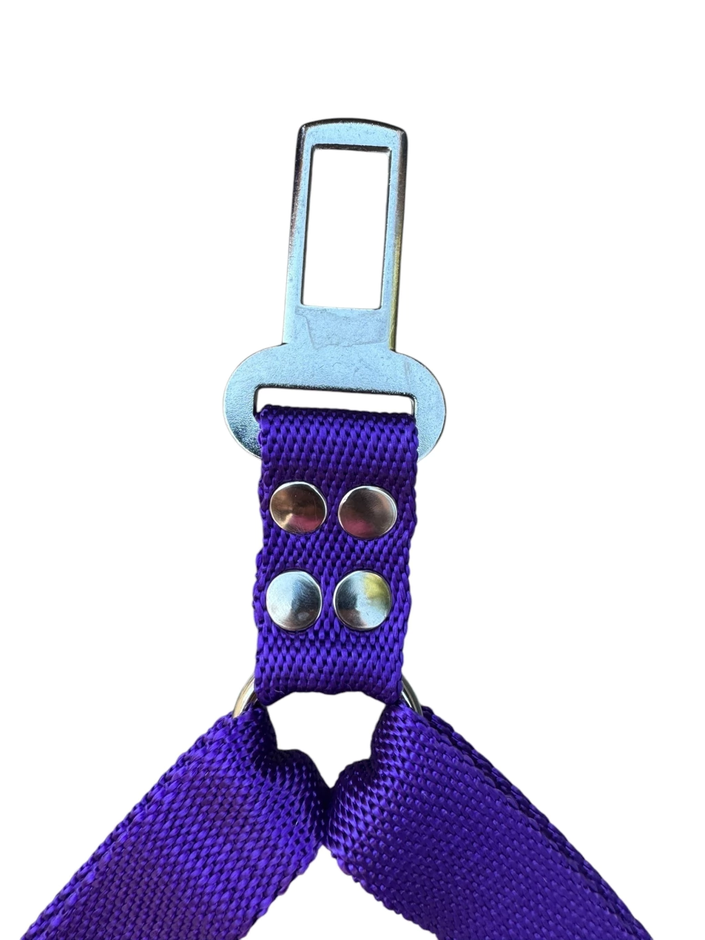 Violeta