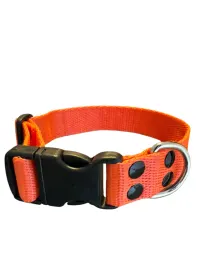 Collar Regulable N4 25mm - Liso Full Color