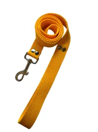 Correa doble lisa 1,8Mts - 25mm