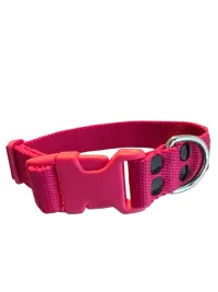 Collar Regulable N4 25mm - Liso Full Color
