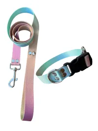 Conjunto Collar Sublimado + Correa Sublimada