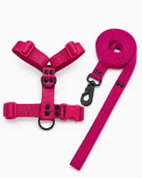 Fucsia