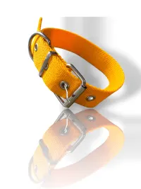 collar gato 15mm - 26cm