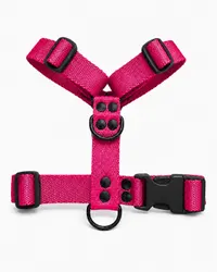 Fucsia Black