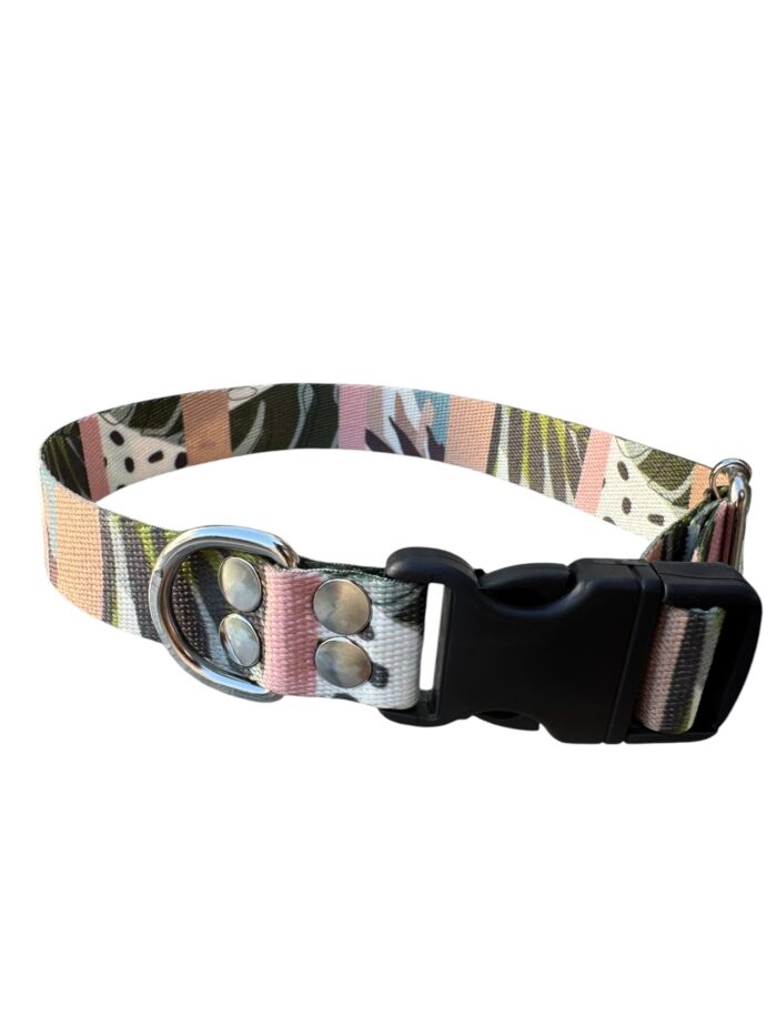 collar de perro, collar para perros