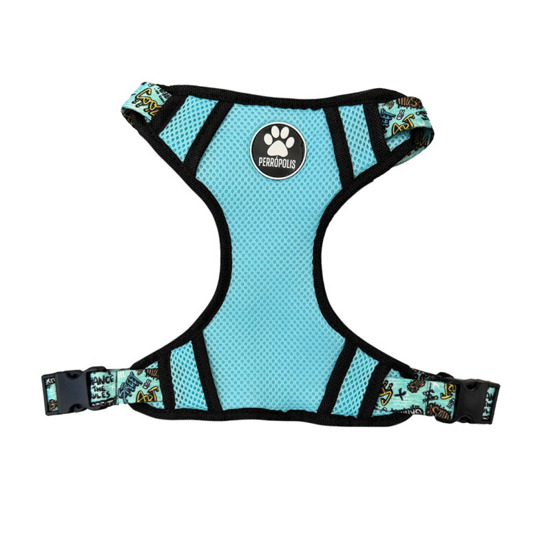 pechera h grafitti celeste