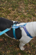 Pretal Sublimado H Degrade Violeta - Imagen 9