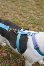 Pretal Sublimado H Degrade Violeta - Imagen 8