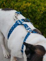 Pretal Sublimado H Libelulas - Imagen 4