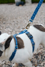 Pretal Sublimado H Libelulas - Imagen 6