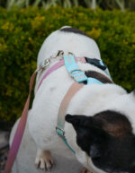 Pretal Sublimado H Degrade Pastel - Imagen 5