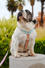 Pretal Sublimado H Degrade Pastel - Imagen 7