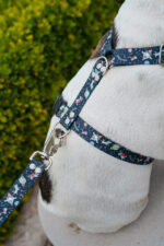 Pretal Sublimado H Espacio - Imagen 5