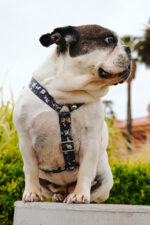 Pretal Sublimado H Espacio - Imagen 7