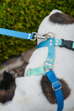 Pretal Sublimado H Degrade Verde - Imagen 5