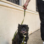 Pretal Regulable Sublimado Y - Warning