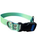 collar regulable sublimado degrade verde