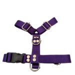 pretal h liso violeta